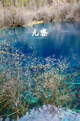 皇室派对夜