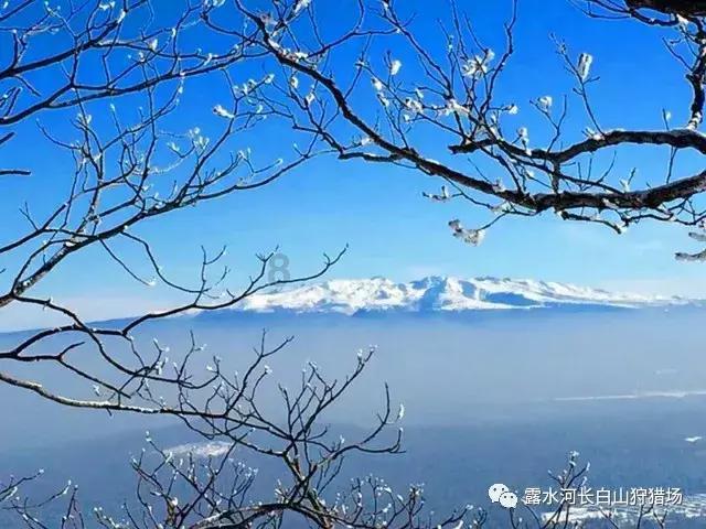 救援聪明的小女生