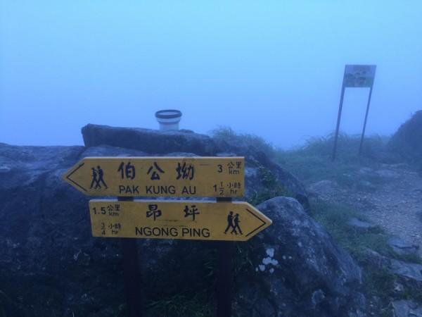 今年二手房市场如何？业内：2024年或是二手房成交大年