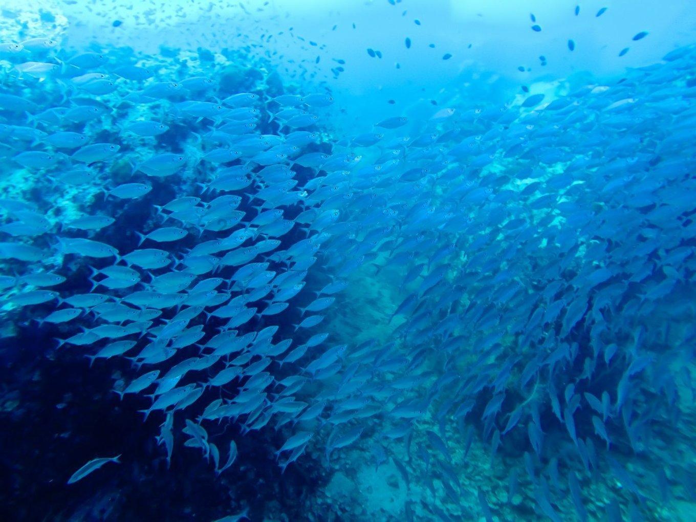 海贼王：娜美6大哭泣场景，仙女落泪惹人怜，哪一幕最让你动容