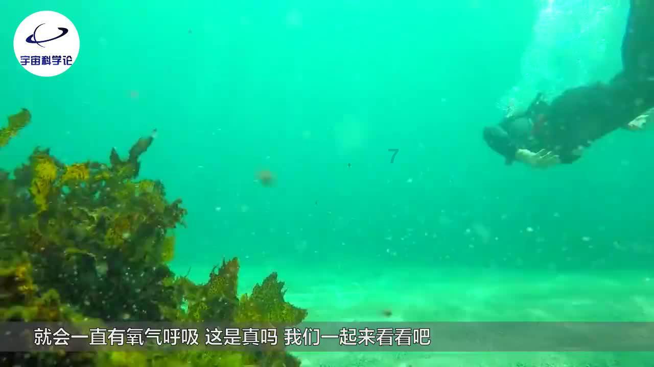 探索孤儿车祸去世,因为没有亲人被直接火化,兄弟跪地磕头领走骨灰世界,尽在孤儿车祸去世,因为没有亲人被直接火化,兄弟跪地磕头领走骨灰红迪网