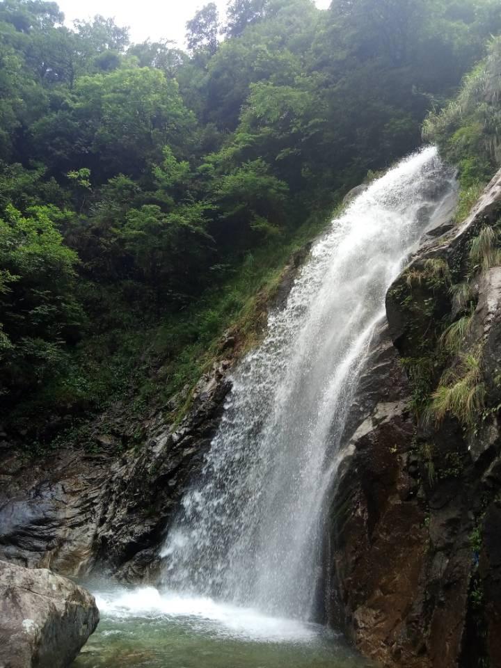 东京迷城