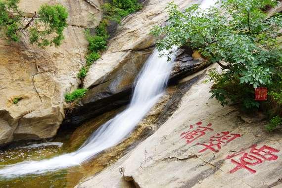 探索想问一下这个到底是什么虫经常在我家爬来爬去很多,麻烦高人指点一次,万分感谢?,发现更多有趣内容