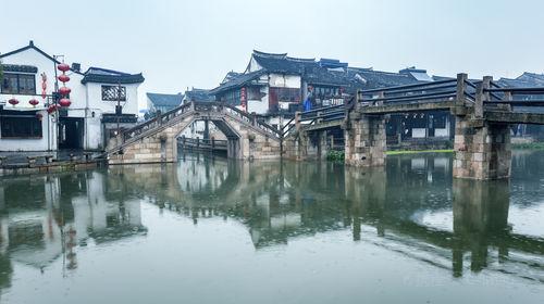 “艺术茅台 • 祥龙呈瑞”—— 中国书画名家曹广峰2024新春贺岁