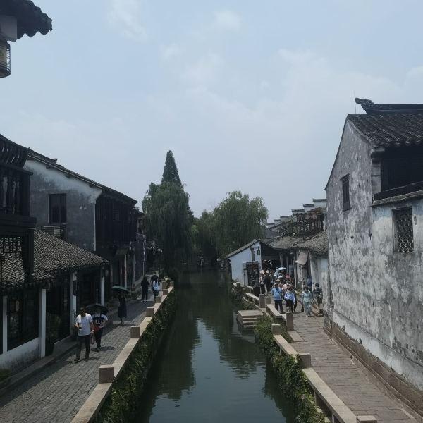 在临淄取景！影片《鸽子起舞》在CCTV-6黄金时段播出