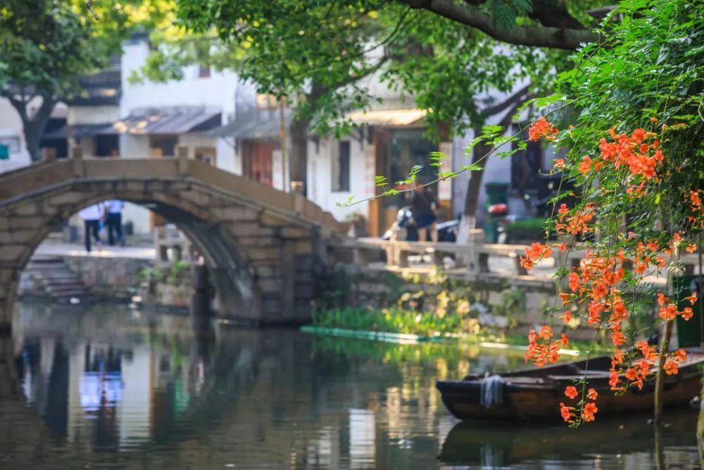饥饿的松鼠救援